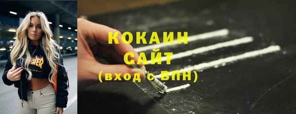 гидра Михайловск