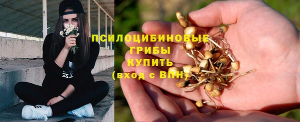 скорость Михайлов