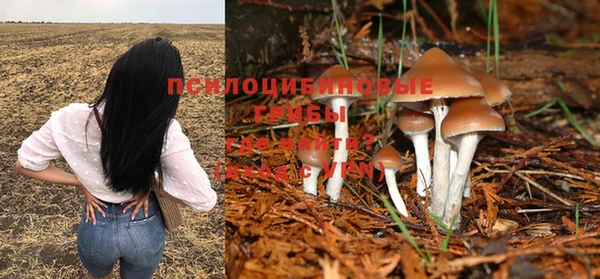 скорость Михайлов