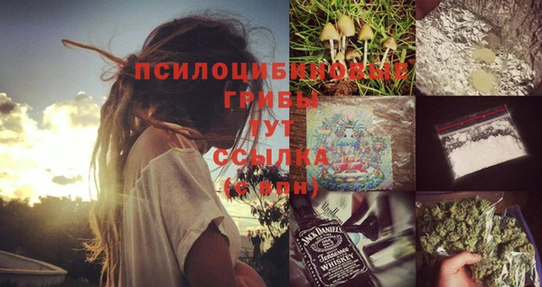 гидра Михайловск