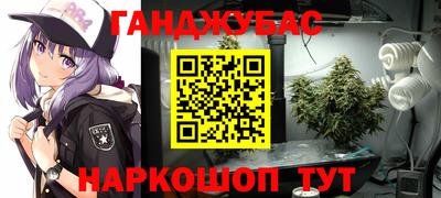 шишки Изобильный