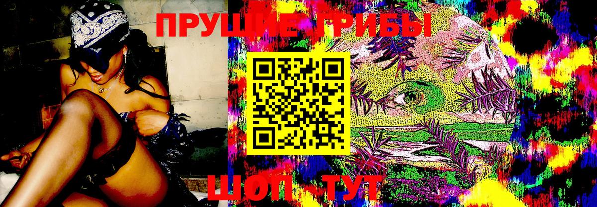 Псилоцибиновые грибы ЛСД  Новодвинск 